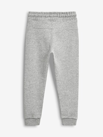 Next Конический (Tapered) Штаны в Серый