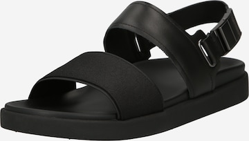 regular Sandalo di Calvin Klein in nero: frontale