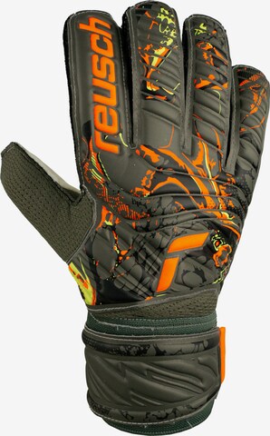 REUSCH Athletic Gloves 'Attrakt Solid' in Mixed colors