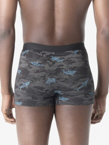 Boxeri de la KOROSHI pe gri