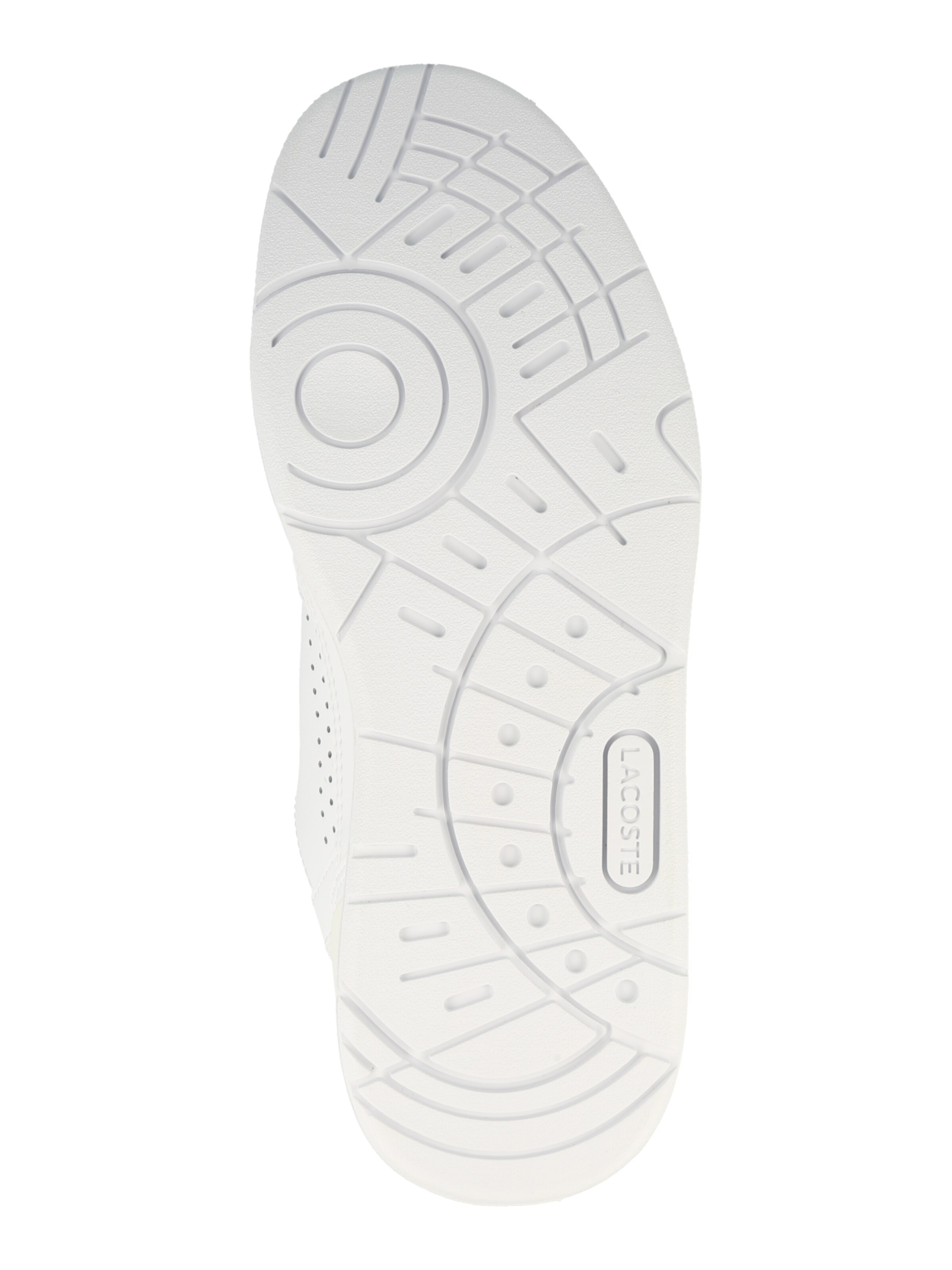 LACOSTE Låg sneaker i vit