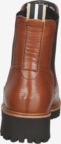 ARA Chelsea Boots in Brown