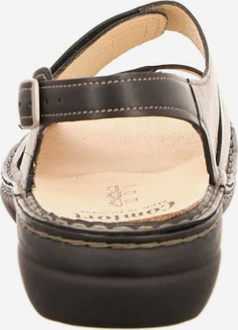 Finn Comfort Sandals in Brown