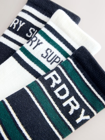 Calzino di Superdry in blu