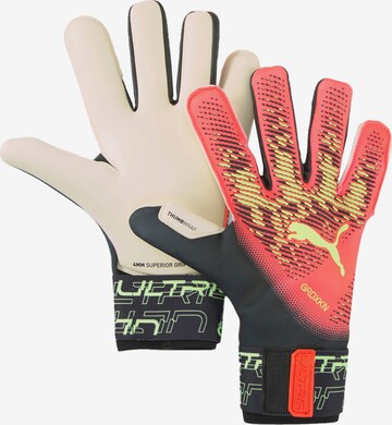 PUMA Athletic Gloves in Orange: front