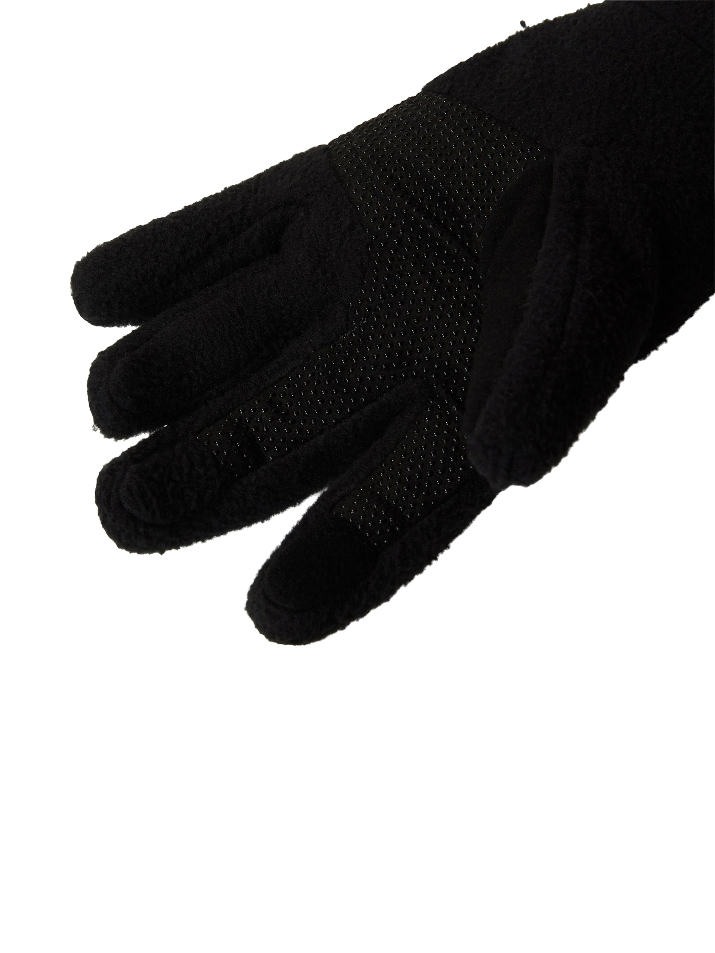 THE NORTH FACE Αθλητικά γάντια 'Denali Etip Glove' σε μαύρο