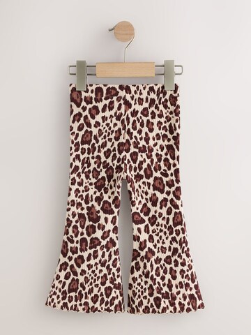 Flared Leggings di Next in colori misti