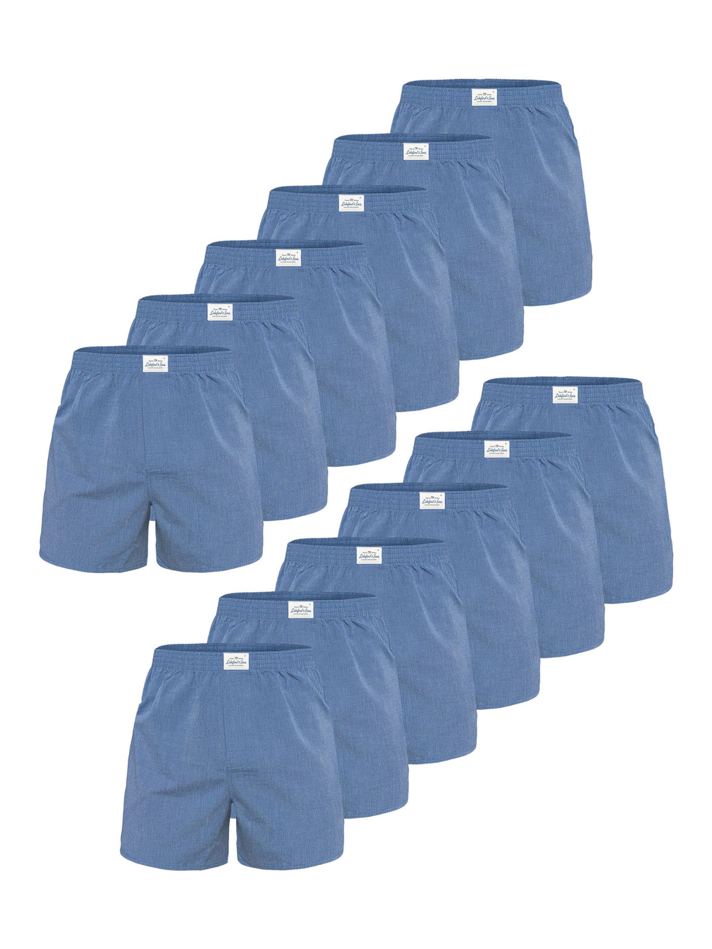 Lakeford & Sons Boxershorts in Blau: Vorderseite