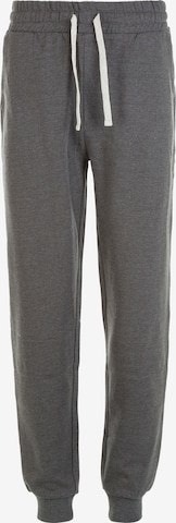 Cruz Pants 'Regent' in Grey: front