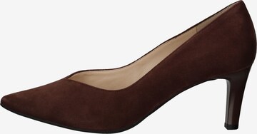 Högl Pumps in Brown