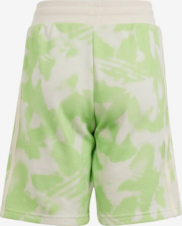 ADIDAS ORIGINALS Regular Pants 'Summer' in Green