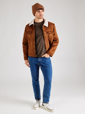 La Martina Shirt in Brown