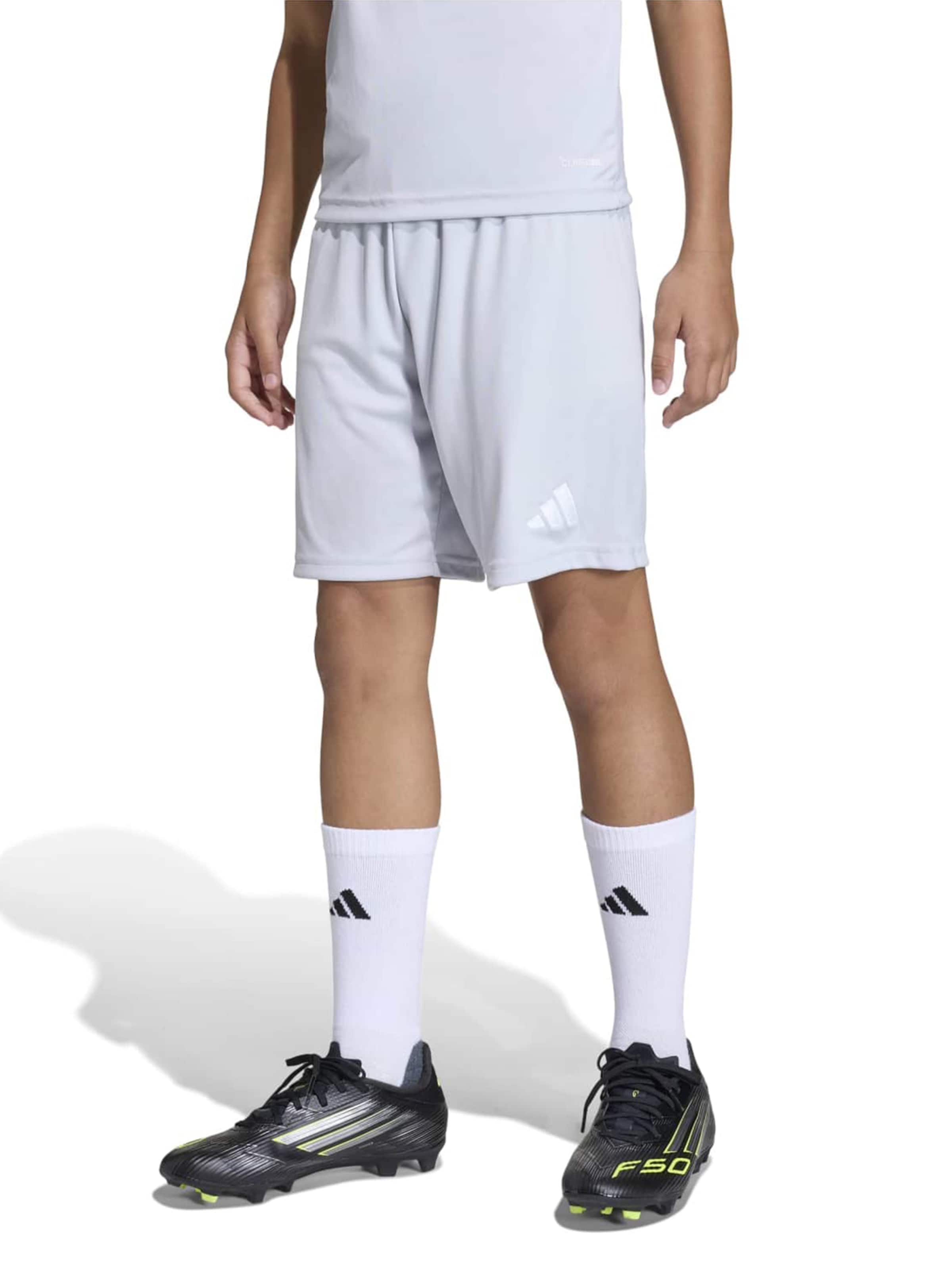 ADIDAS PERFORMANCE - regular Pantalón deportivo 'ENT26' en gris: frente