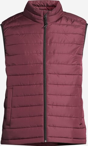 AÉROPOSTALE Bodywarmer in Bruin: voorkant