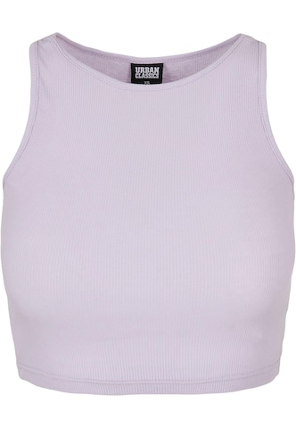 Urban Classics Shirt in Purple: front