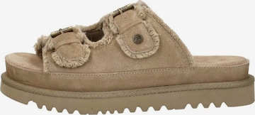 Warmbat Clogs 'Dysart Women' in Beige: voorkant
