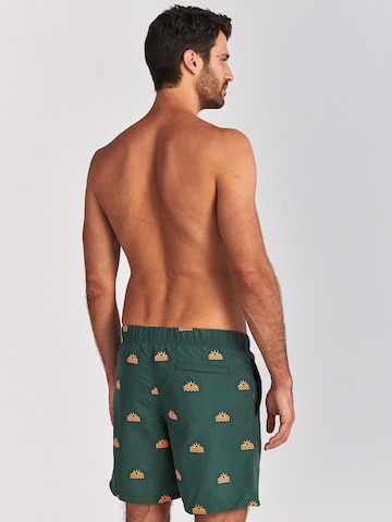 Shiwi Board Shorts in Green