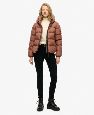 Veste d’hiver Superdry en marron