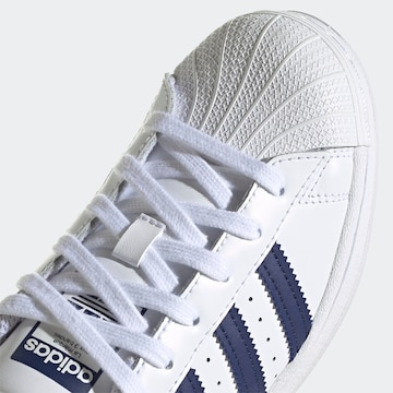 ADIDAS ORIGINALS Σνίκερ 'Superstar' σε λευκό