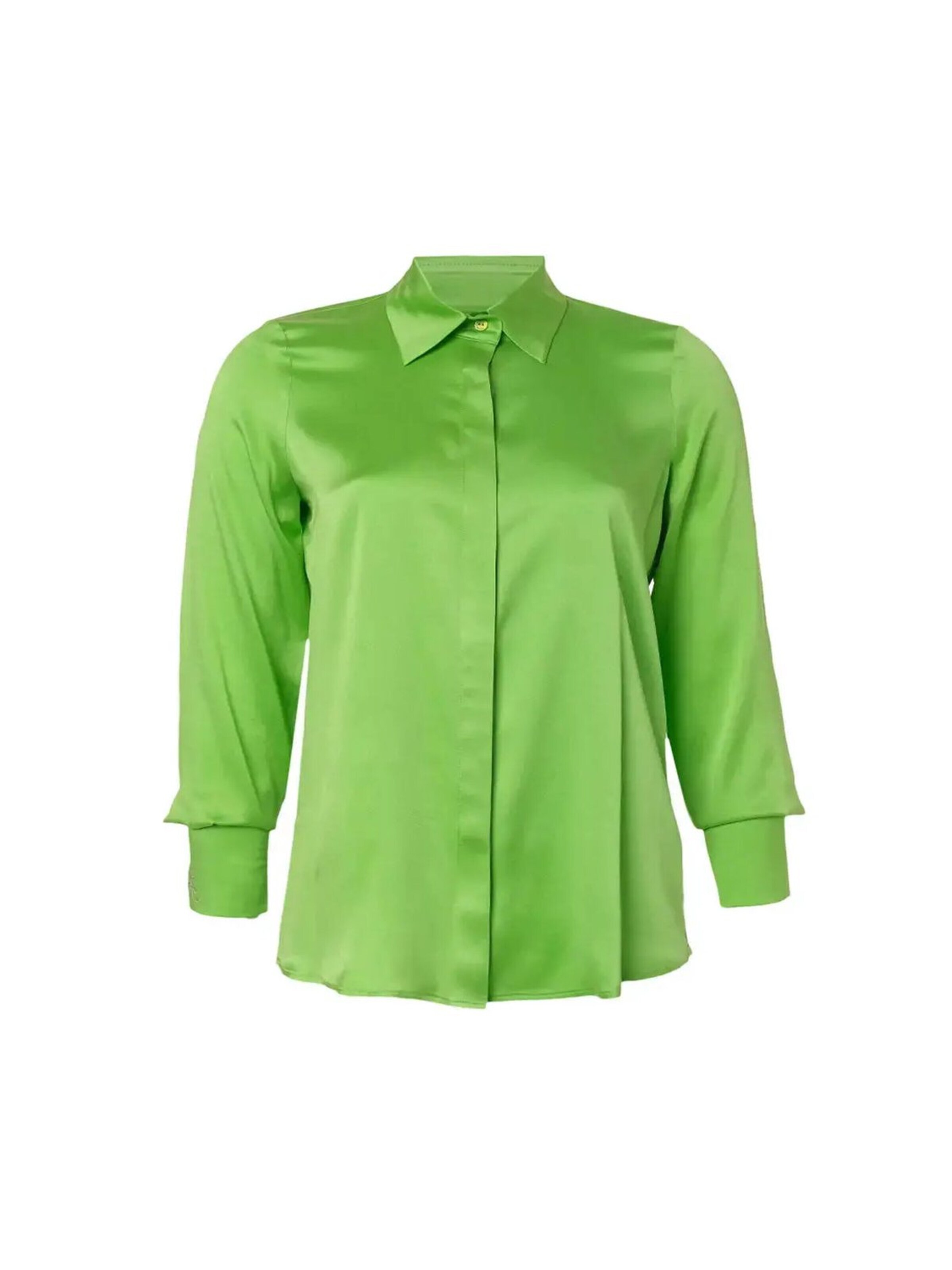 SILK & CASHMERE Shirt in Groen