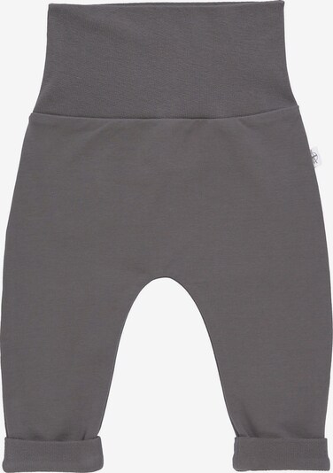 LÄSSIG Pants in Taupe, Item view