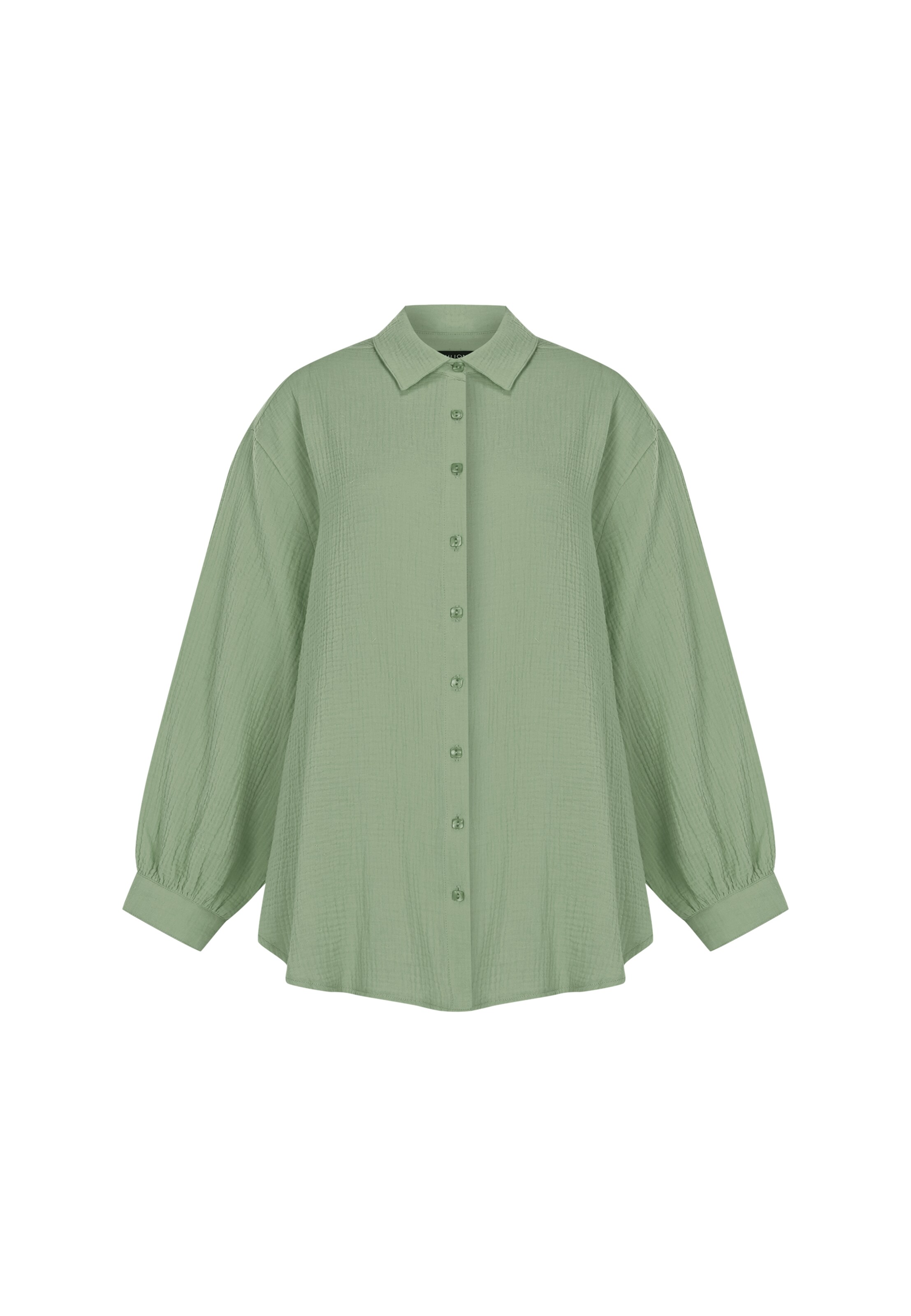 FRESHLIONS Langarmbluse 'Honari' in Grün: Vorderseite