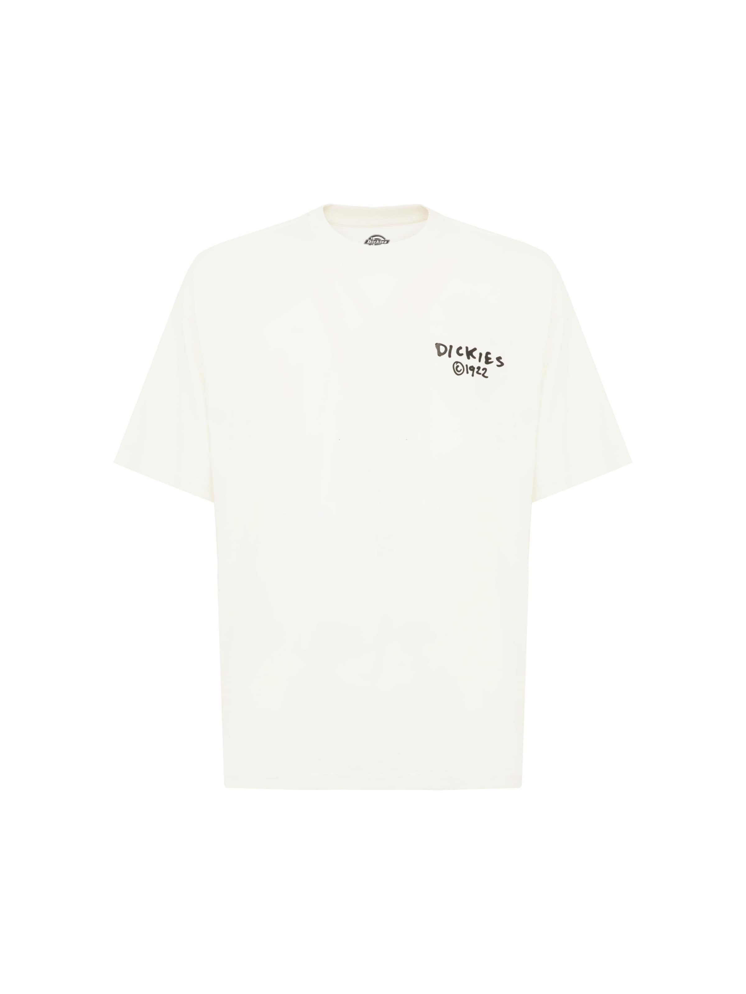 DICKIES Shirt 'Sneedville' in White: front