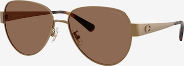 COACH - Gafas de sol en amarillo: frente