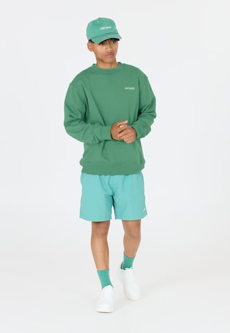Les'Arcs Sweatshirt 'Deasach' in Groen: voorkant