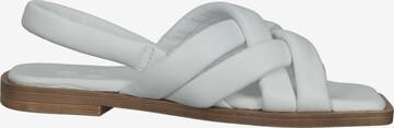 ILC Sandals in White