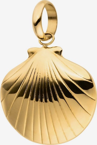 PURELEI Anhänger 'Seashell' in Gold: Vorderseite