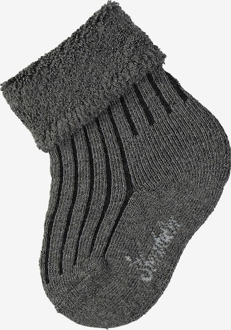 STERNTALER Socken in Grau: predná strana