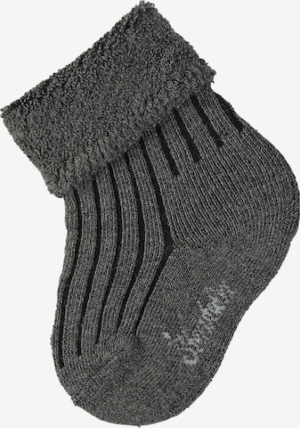 STERNTALER Socks in Grey: front