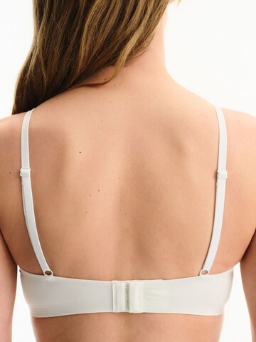 Bustino Reggiseno 'BHs & Bralettes' di Penti in marrone