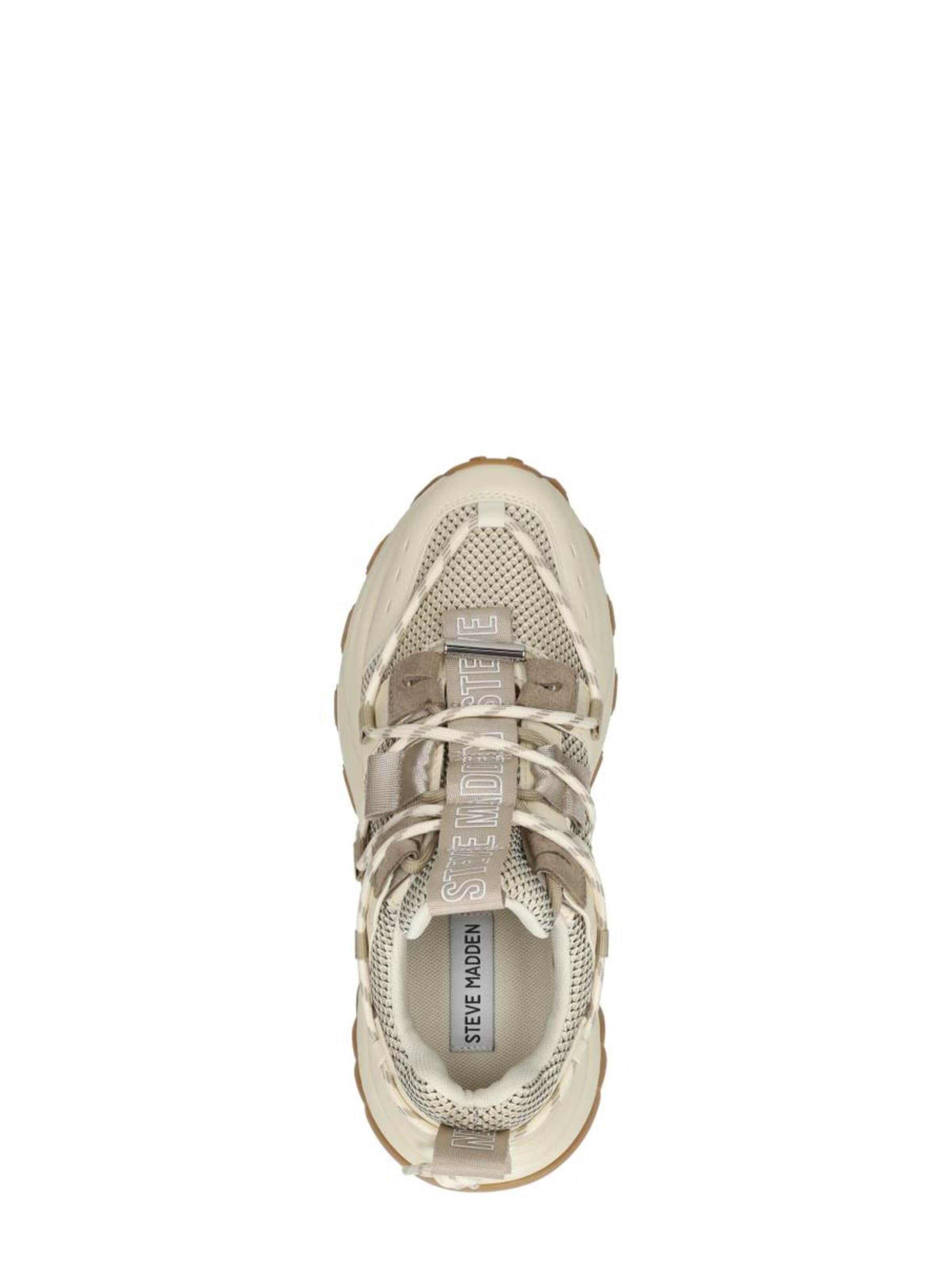 STEVE MADDEN Sneakers 'Tazmania' in Beige
