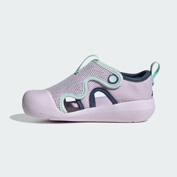 ADIDAS SPORTSWEAR - Zapatos abiertos 'Altaventure 3' en lila