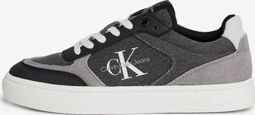 Baskets basses Calvin Klein Jeans en gris : devant
