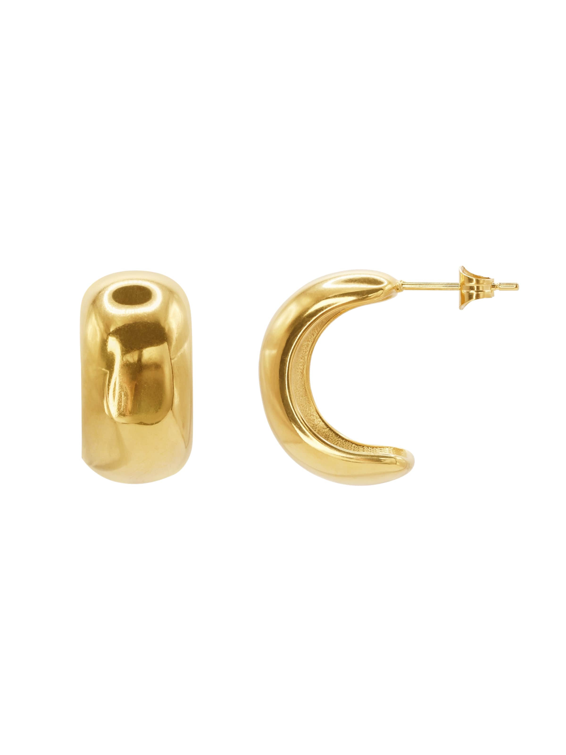 Heideman Earrings 'Plinia ' in Gold: front