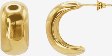 Boucles d'oreilles 'Plinia ' Heideman en or : devant