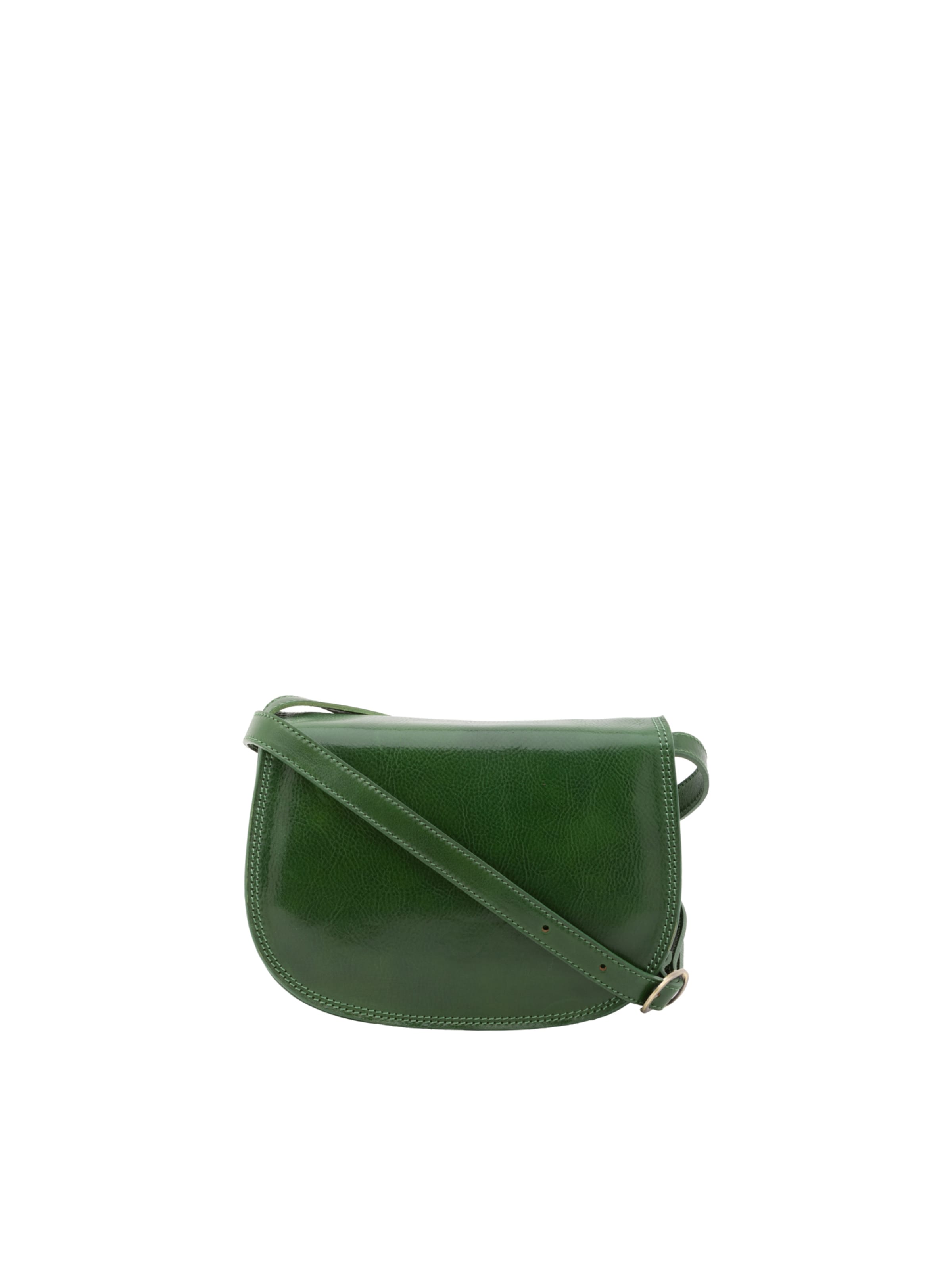 Viola Castellani Crossbody Bag in Green: front