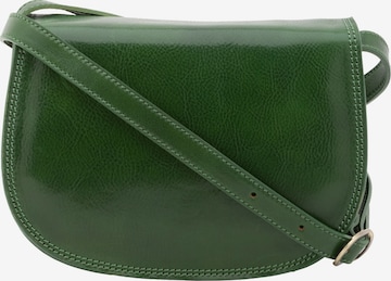 Viola Castellani Crossbody Bag in Green: front