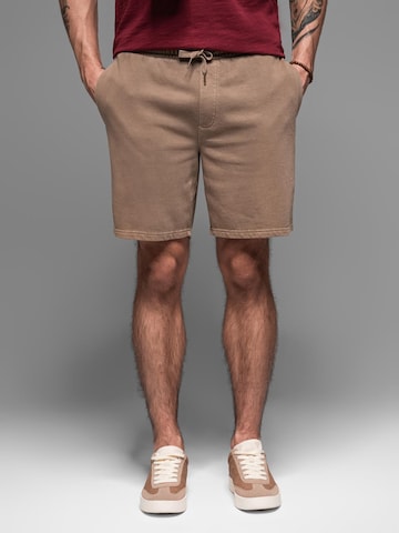 Ombre Loose fit Trousers in Brown: front