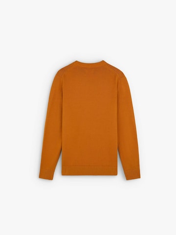 Pullover di Scalpers in marrone
