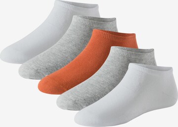 SCHIESSER Sneakersocken ' Herrensneaker ' in Grau: predná strana