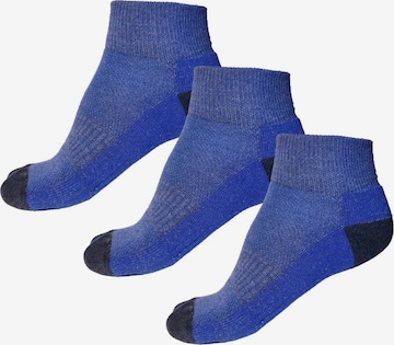 Posh Gear - Calcetines 'Corto' en azul: frente