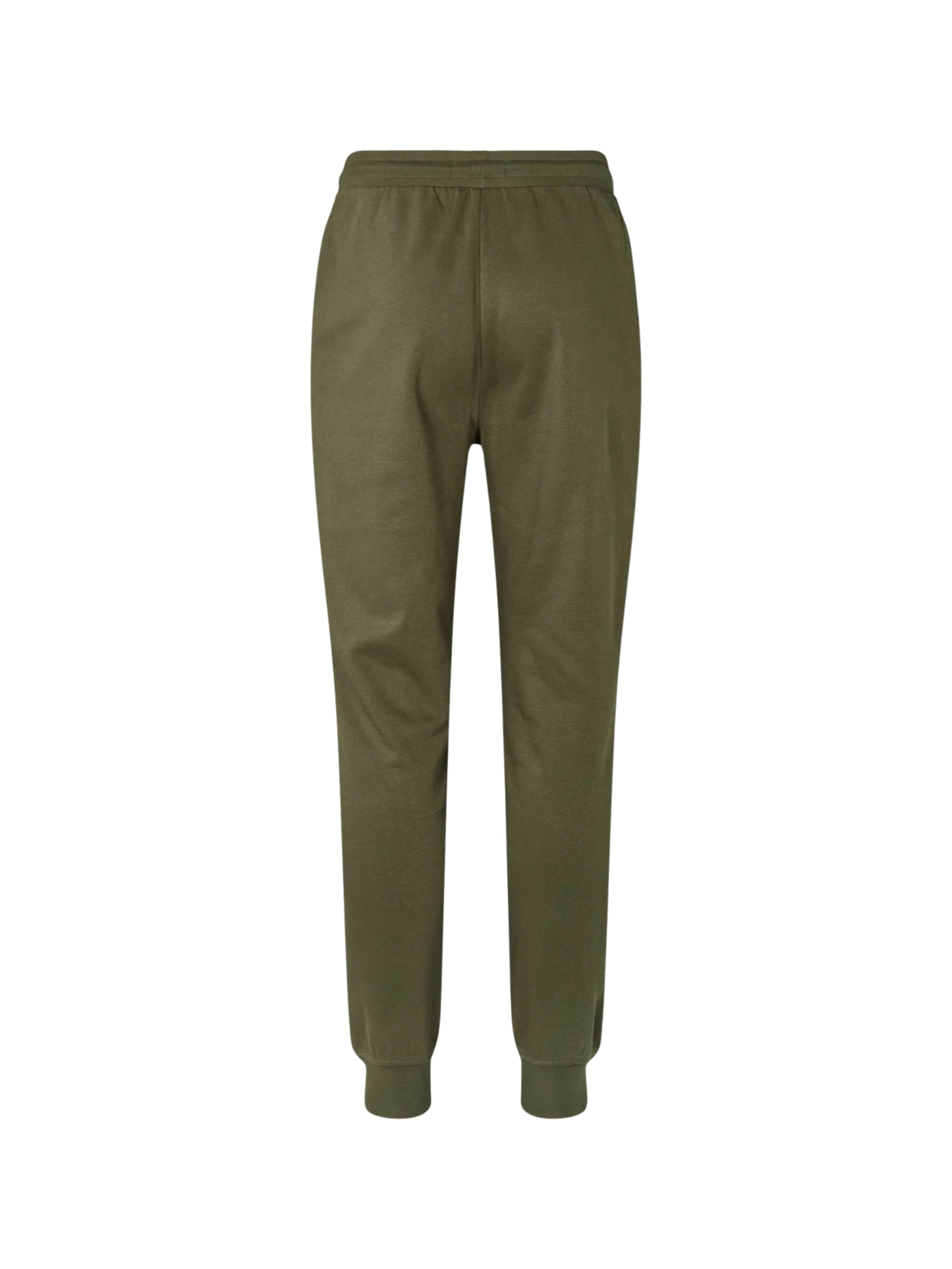 U.S. POLO ASSN. Tapered Broek ' Terkel ' in Groen