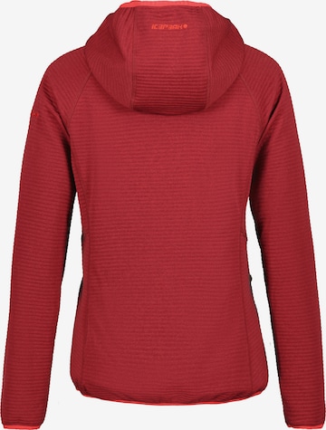 raudona ICEPEAK Sportinis džemperis 'Berryville'