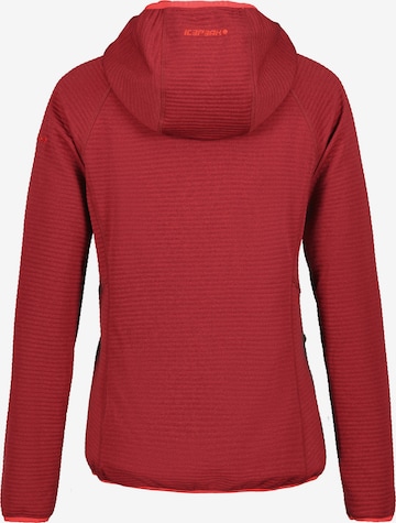 ICEPEAK Athletic Zip-Up Hoodie 'Berryville' in Red