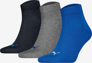 PUMA Socks in Grey: front