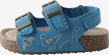 Next Avonaiset kengät värissä sininen: etupuoli